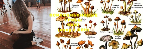 MESCALINE Беломорск