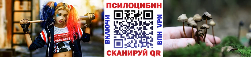 Псилоцибиновые грибы GOLDEN TEACHER  блэк спрут ссылки  Мглин 